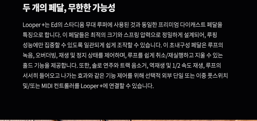 looper+_03t_141536.jpg