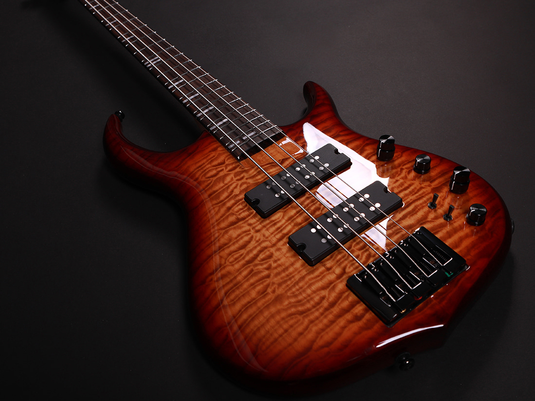 데임 RS 5 바디 전체 탑뷰 Artic Brown