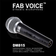 Muztek FAB VOICE Dynamic Microphone / with 5m cable (DM815) / 뮤즈텍 마이크